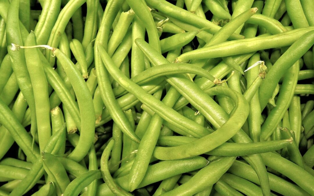 Les haricots verts chez Leclerc rappelés, la faute à une plante toxique